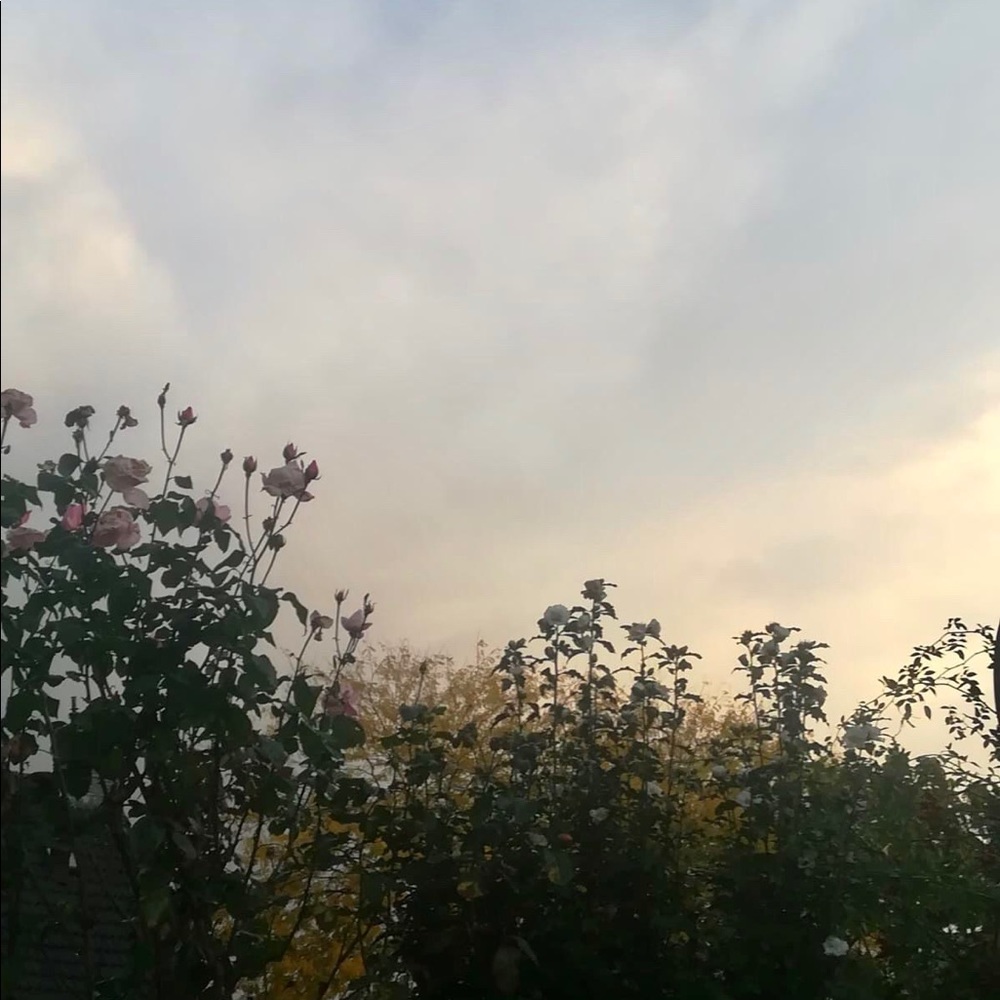 Meet your Posher, Kylie